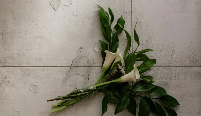 During Divorce: Lessons from Shannen Doherty’s Legacy