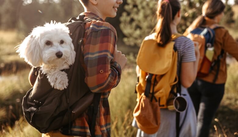 How to Create a Pet Trust That Protects Your Pet’s Future